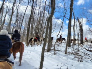 Trail Riding in the winter