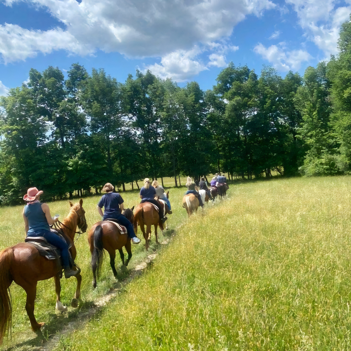 Group Trail Riding