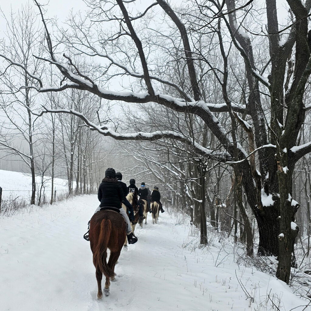 Trail Riding in the Winter