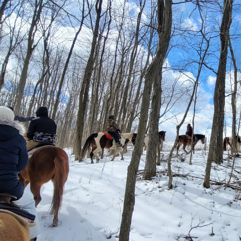 Green Riding Retreats Trail Horse Ride in Winter